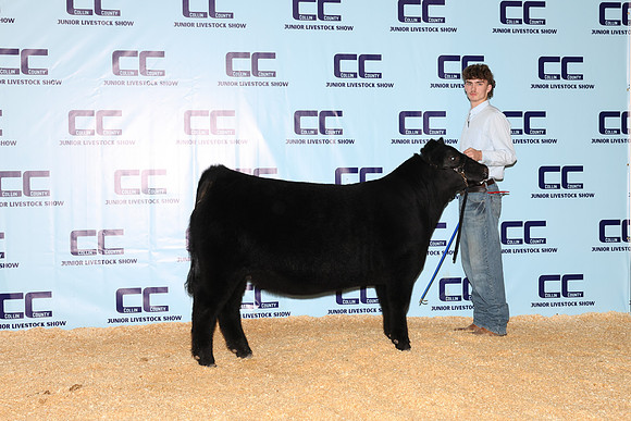 NH- CCJLS-4793