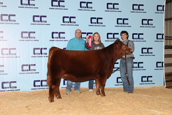 NH- CCJLS-4784