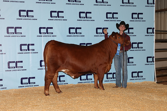 NH- CCJLS-4732