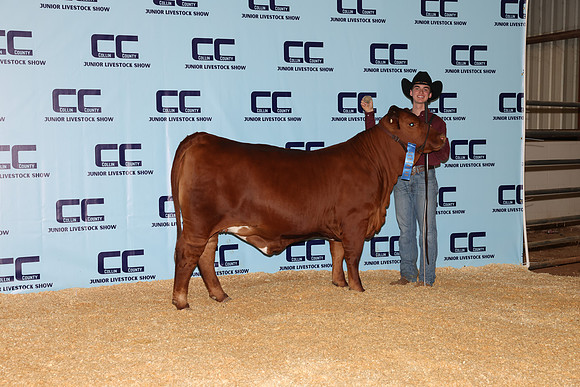 NH- CCJLS-4733