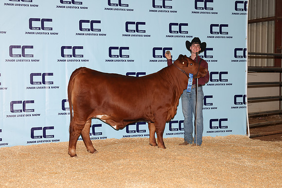NH- CCJLS-4731