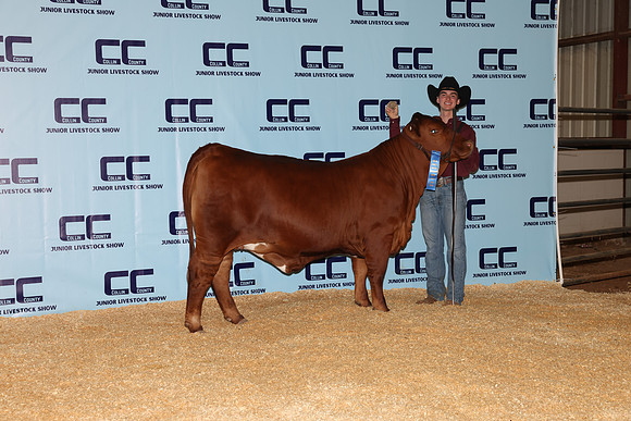 NH- CCJLS-4735