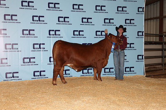 NH- CCJLS-4737