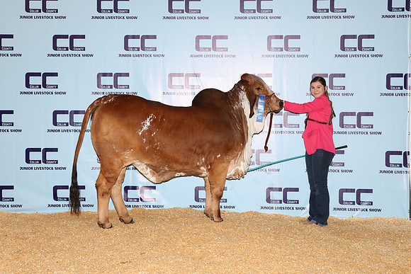 NH- CCJLS-5004
