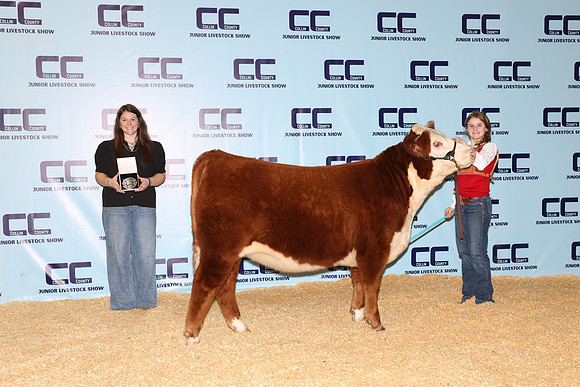 NH- CCJLS-4939