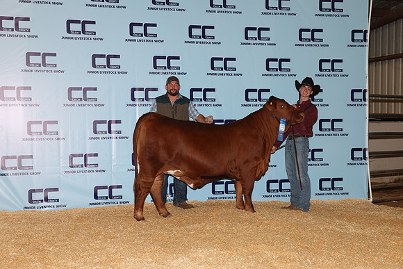 NH- CCJLS-4739