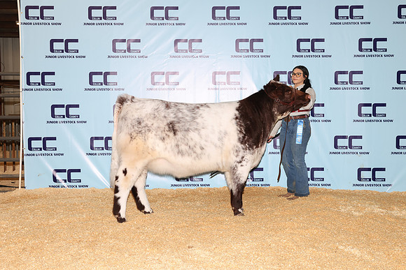 NH- CCJLS-4771