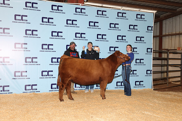 NH- CCJLS-4761