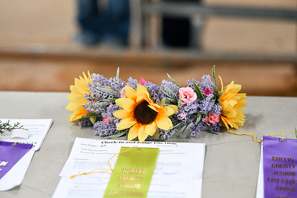 TL26-CCJLS-8590