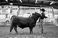 BRM26-CCJLS-9057