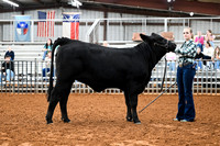 BRM26-CCJLS-9074