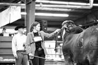 BRM26-CCJLS-9103