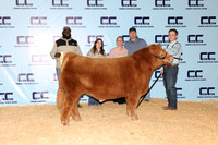 Brown-Caleb-Steer