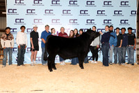 Bryeans-Blaire-Steer