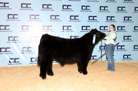 Erling-Ally-Steer