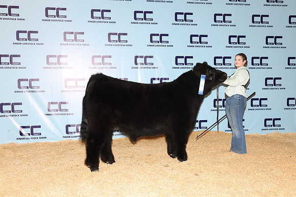 Erling-Ally-Steer
