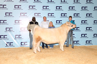 Fenneman-Chase-Steer