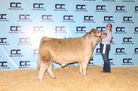 Haney-Kamdyn-Steer
