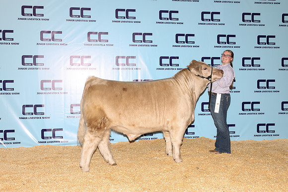 Haney-Kamdyn-Steer