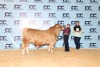 Geiger-Hadley-Steer