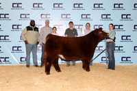 Keifer-Mollie-Steer
