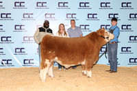 Manganilla-Joseph-Steer