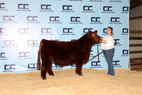 Martinez-Makenna-Steer