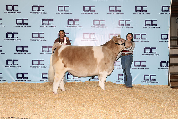 Robinson-Oaklee-Steer