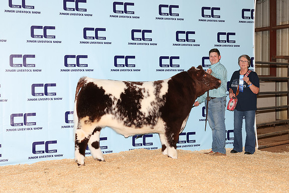 Schertz-Logan-Steer