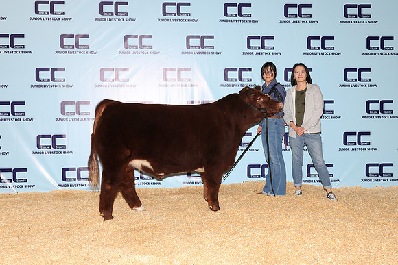 Shi-Karen-Steer