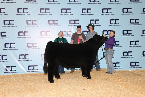 Smart-Landrie-Steer