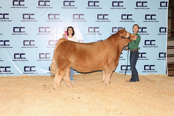 Song-Chelsea-Steer