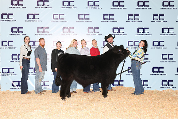 Villa-Kenley-Steer