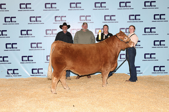 Willoughby-Breelyn-Steer