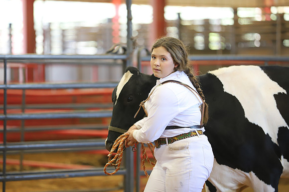 East Texas State Fair - Dairy Show-054