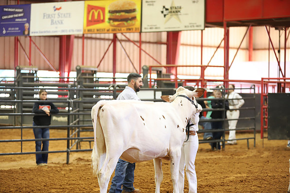 East Texas State Fair - Dairy Show-275