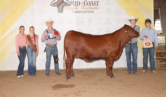 Midcoast 1