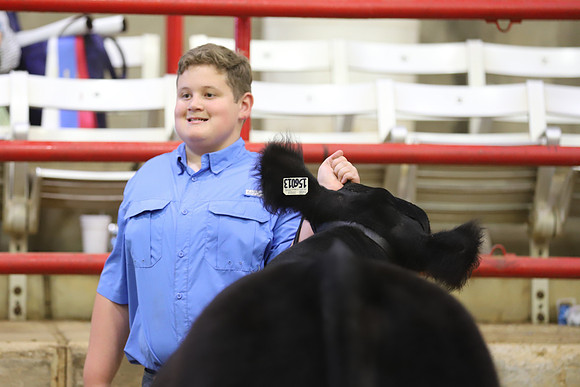 East Texas State Fair - Steer Show-014