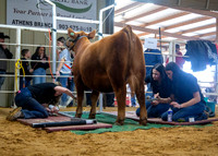 KEB_7939