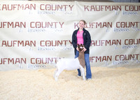 goatfitting5