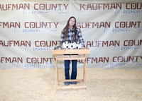 kayleighsanderschampionmarket