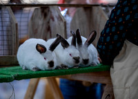 KEB_7697