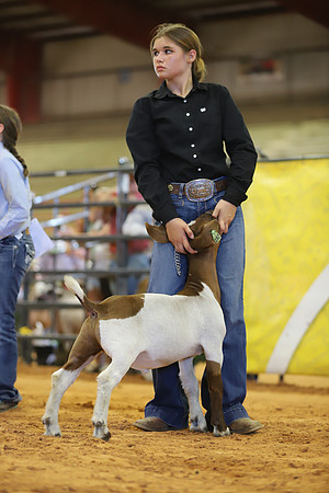 East Texas State Fair - Goat Show-085