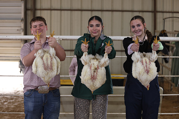TPM_4417