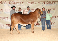 KJCLS 2026 - Heifer Backdrops-4