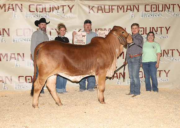 KJCLS 2026 - Heifer Backdrops-4