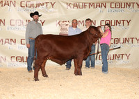 KJCLS 2026 - Heifer Backdrops-5