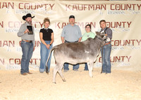 KJCLS 2026 - Heifer Backdrops-2