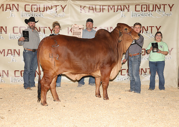 KJCLS 2026 - Heifer Backdrops-3