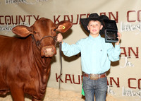KJCLS 2026 - Heifer Backdrops-11